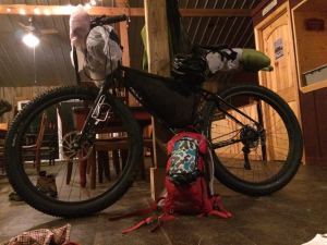 Seriously look at this animal